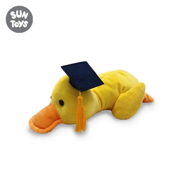Graduation Duck graduation gift ideas