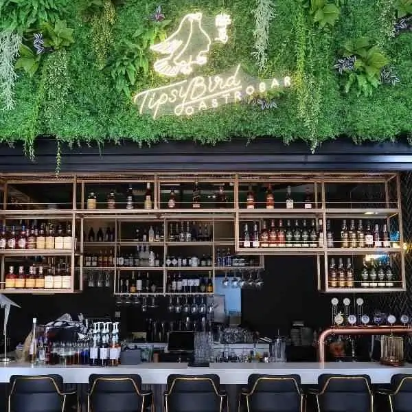 tipsy bird best live music bars singapore