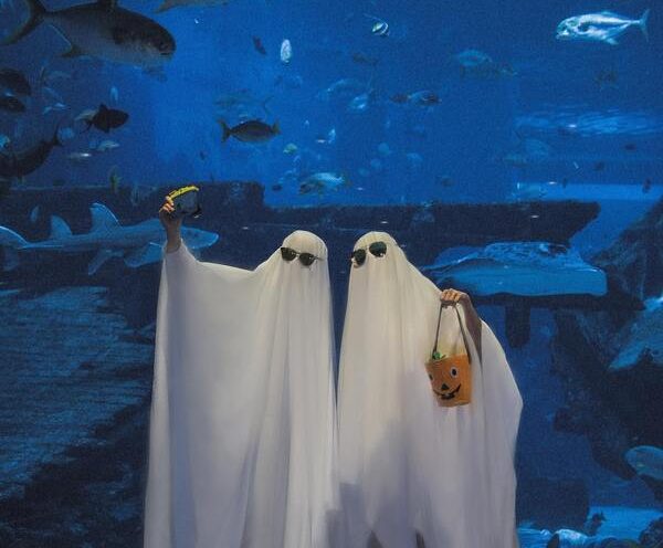 kids in ghost costumes at deep boo sea s.e.a aquarium halloween event singapore 2022