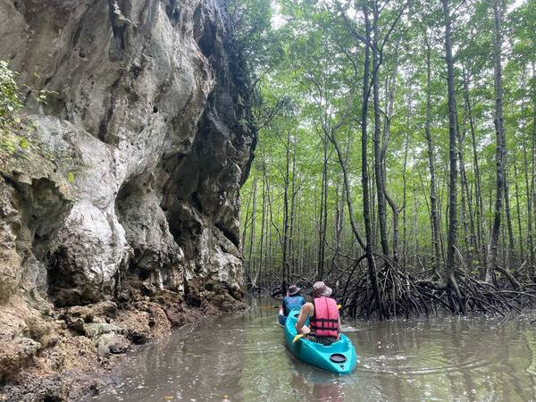 kayaking among the mangroves in thailand