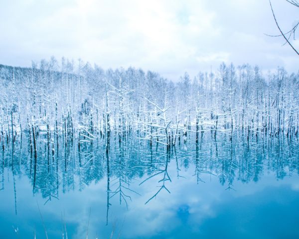 best ski resort in hokkaido lake biei furano