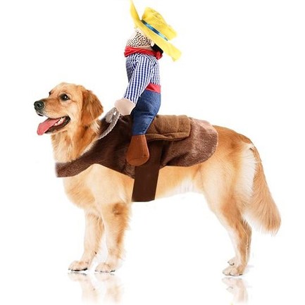 best halloween costume for pets Cowboy