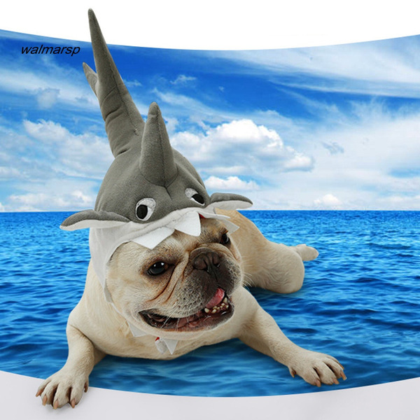 best halloween costume for pets Shark Dog