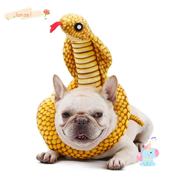 best halloween costume for petsCobra Dog