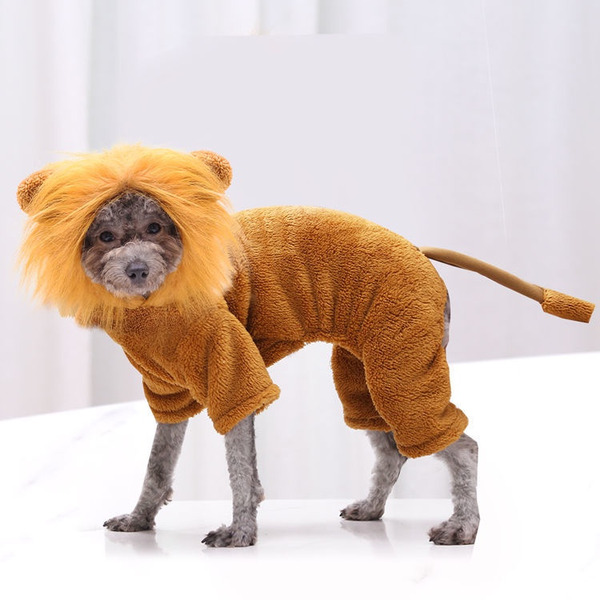 best halloween costume for pets Lion Dog