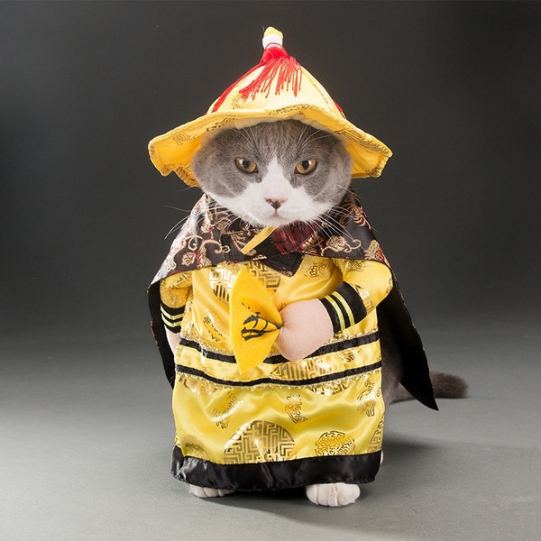 Chinese Emperor Cat