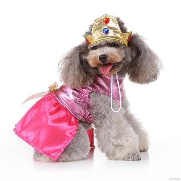 best halloween costume for pets Princess