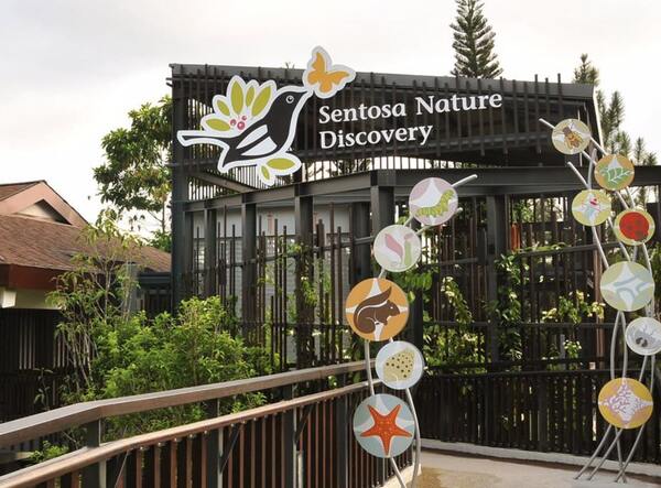 sentosa nature discovery for nature lovers