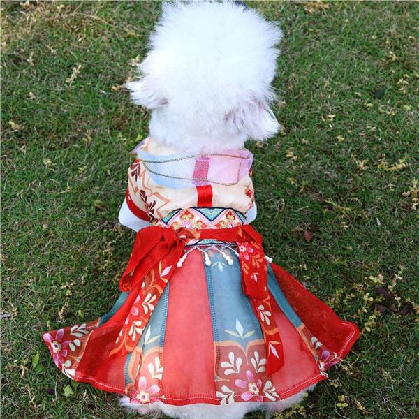 Han Fu best chinese new year dog costumes