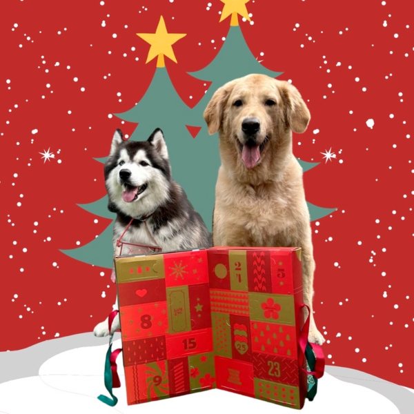Pawfurry Dog Christmas Advent Calendar