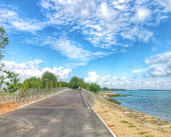things to do in changi airport coastal walk