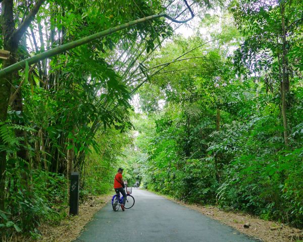 things to do in changi airport around pulau ubin