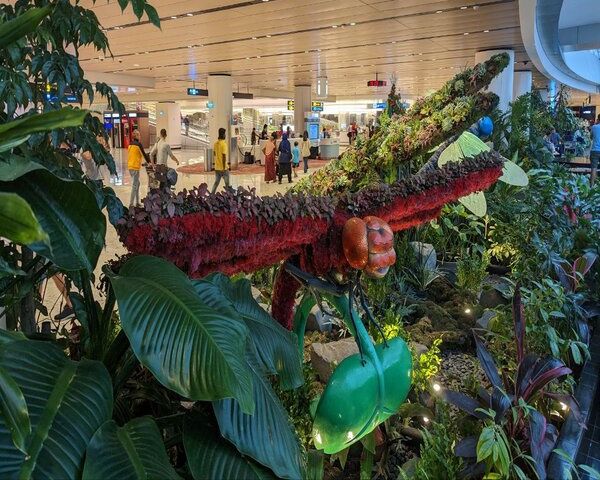 things to do in changi airport arrival garden terminal 1