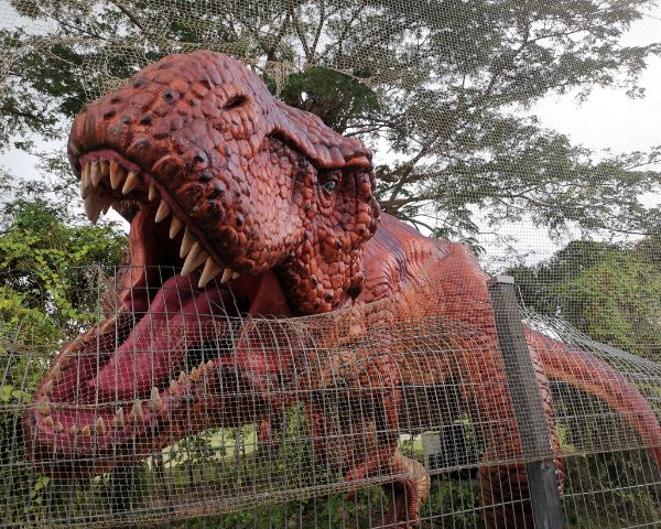 things to do in changi airport jurassic mile terminal 4