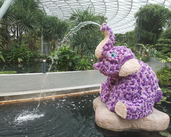 things to do in changi airport canopy park jewel