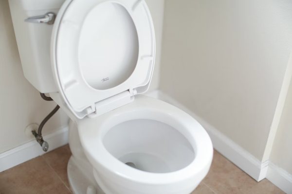 different types of toilet bowls