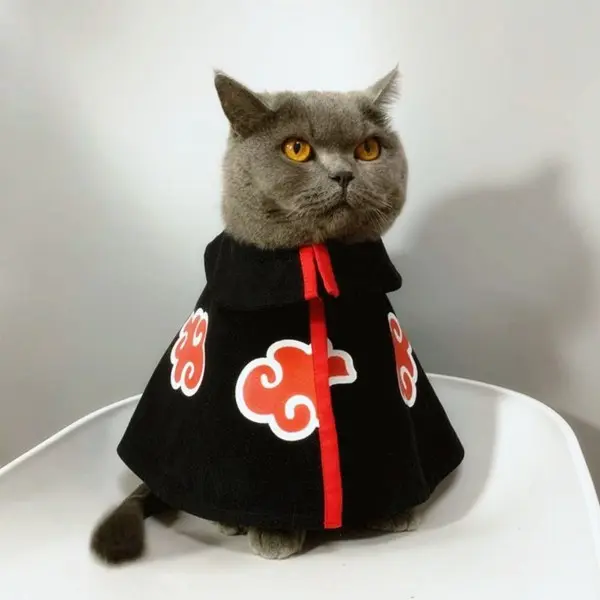 A-cat-suki Best Halloween Costumes For Pets