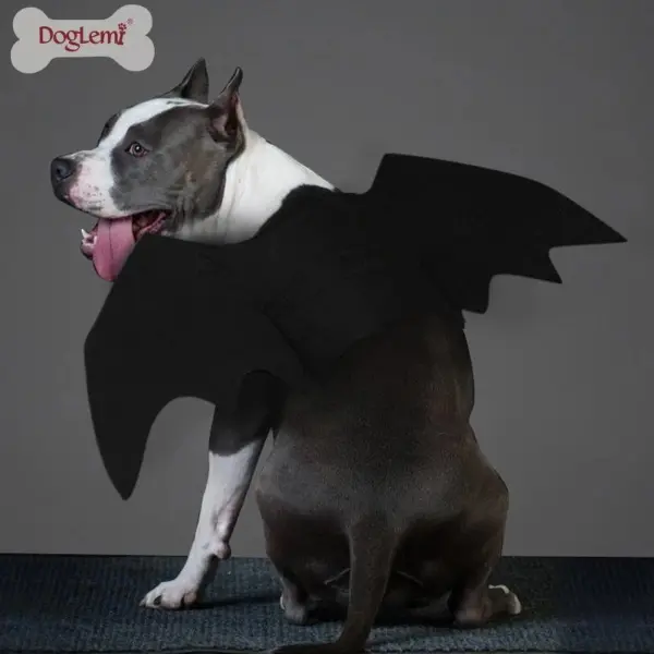 Bat Dog