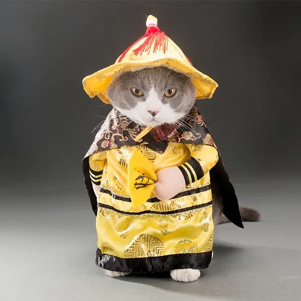 Chinese Emperor Cat