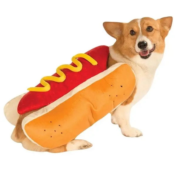 Hotdog Best Halloween Costumes For Pets