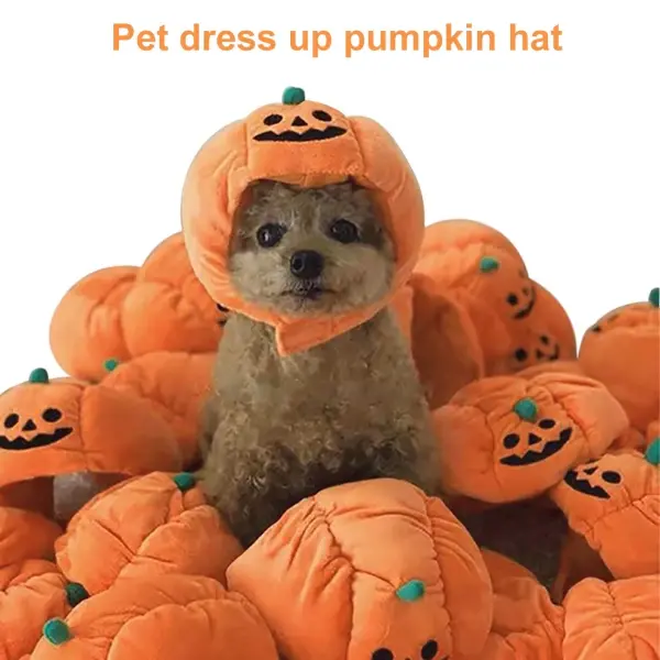 Pumpkin Dog Best Halloween Costumes For Pets