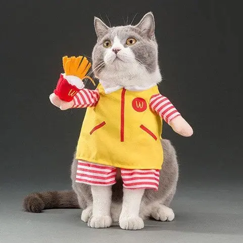 Ronald McDonald Best Halloween Costumes For Pets