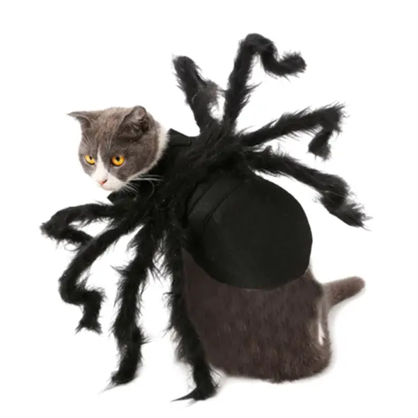 Spider Cat Best Halloween Costumes For Pets