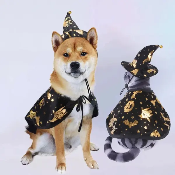 Wizard Best Halloween Costumes For Pets