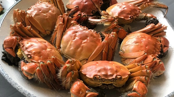 where to buy hairy crab in singapore: Livecrab SG