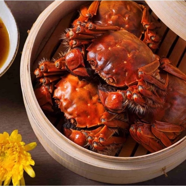 where to buy hairy crab in singapore: mamago