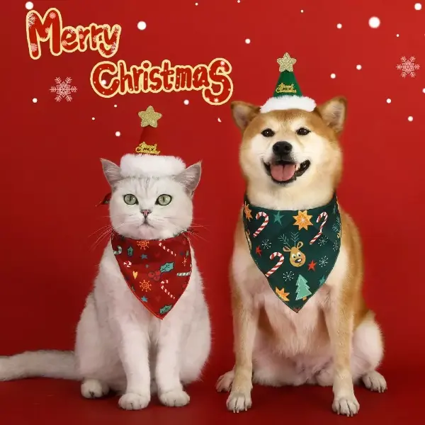 Christmas Costume Ideas Pets