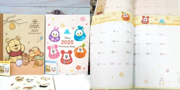 Disney 16k Monthly Annual Planner - best 2025 planner