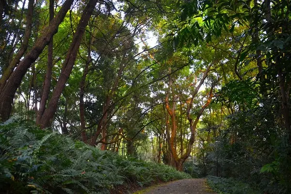 Kent Ridge Park