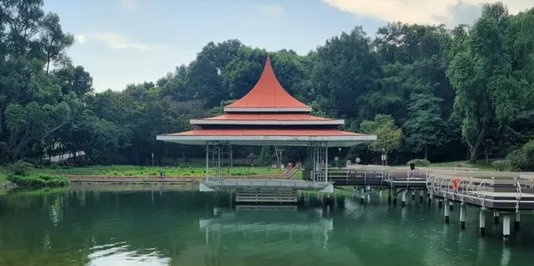 MacRitchie Reservoir Park