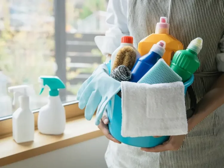 best household cleaning products