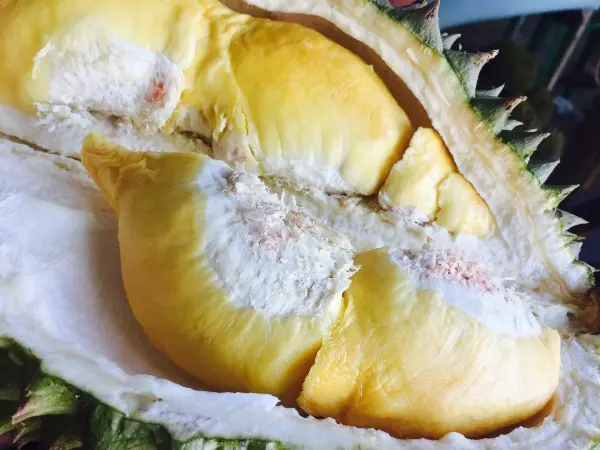 D24 (Sultan) Types Of Durians In Singapore
