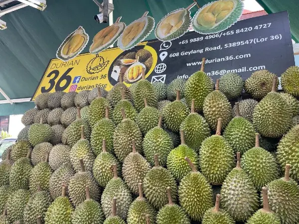 Durian 36