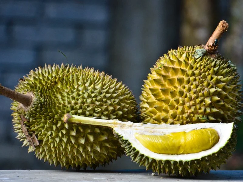 Types Of Durians In Singapore
