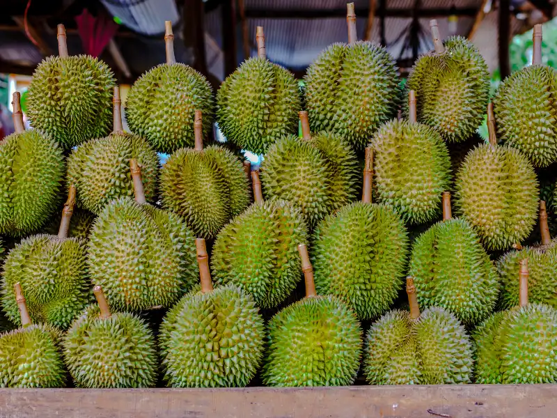 best durian stalls singapore 2024