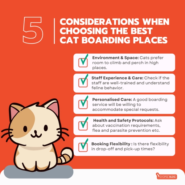 How to choose the best cat boarding service in singapore