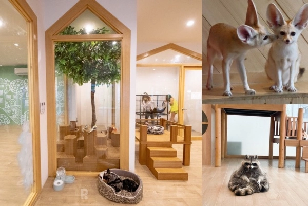 little zoo cafe instagrammable cafes in bangkok