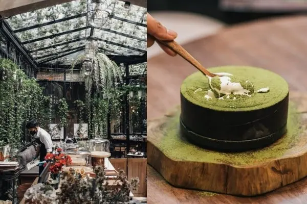 the blooming gallery instagrammable cafes in bangkok