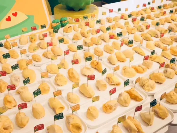 durian buffet and durian tour singapore malaysia