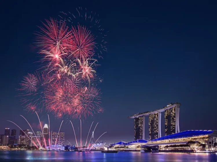 where to watch the ndp fireworks