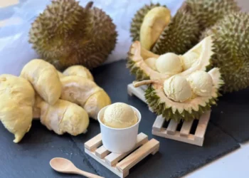 best durian ice cream singapore