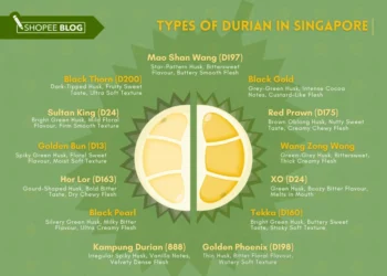 types of durians in singapore - featured image
