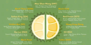 types of durians in singapore - featured image