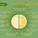 types of durians in singapore - featured image