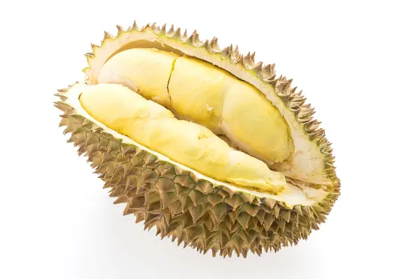 types of durians in singapore - kampung