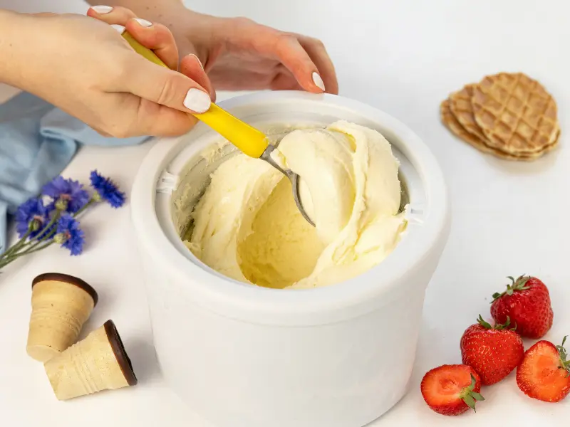 best ice cream makers singapore